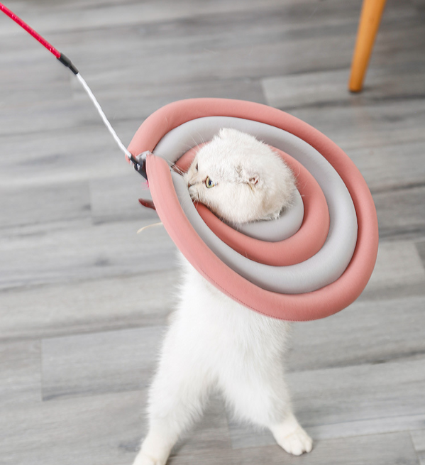 Lightweight Elizabethan Circle Cat And dDg Protective Cover - Image 3
