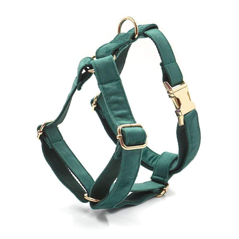 Green Velvet Dog Collar Dog Leash Pet Collar - Image 3