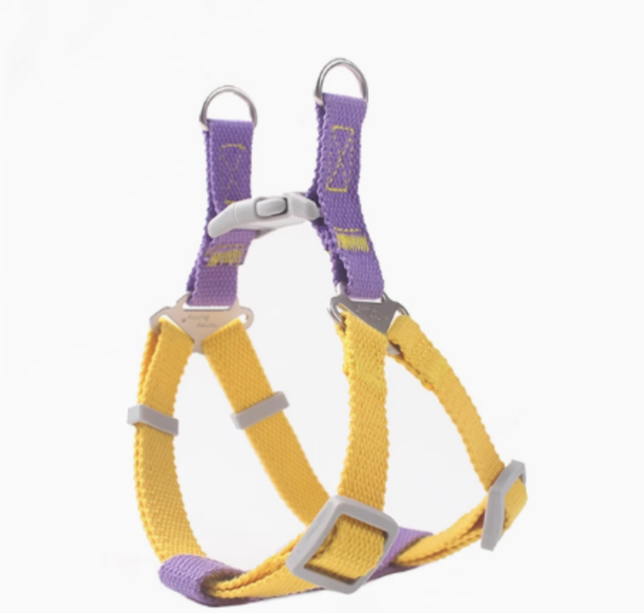 Contrast Color Vest-style Pet's Chest-back Traction Dog Leash - Image 4