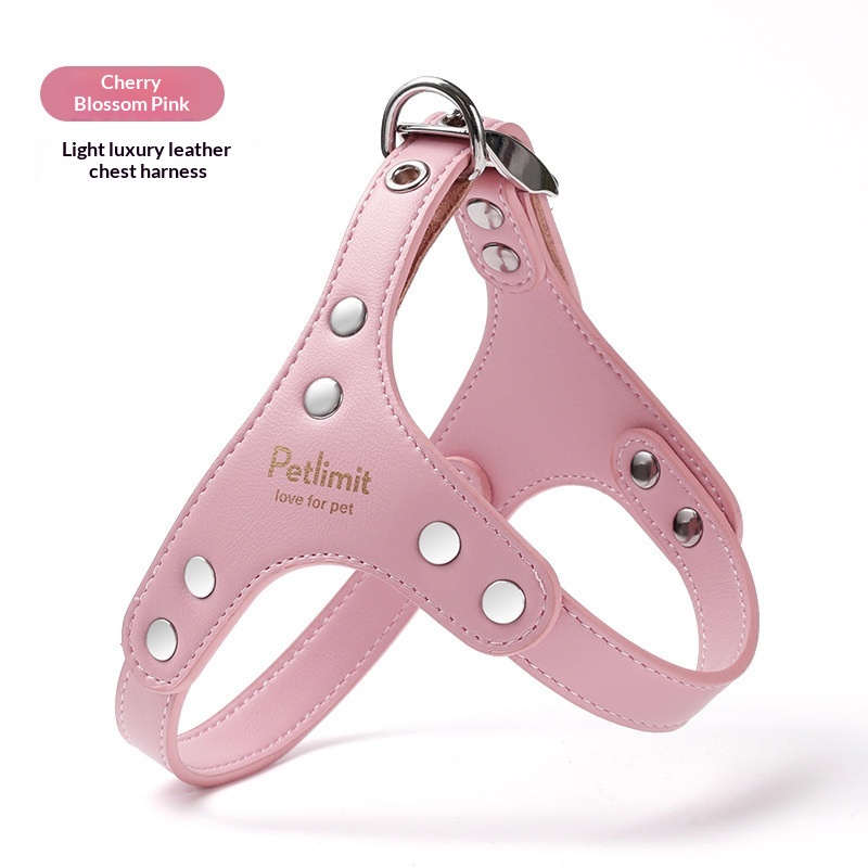 Puppy Leash And Leather Chest Harness For Small Dogs - Image 3
