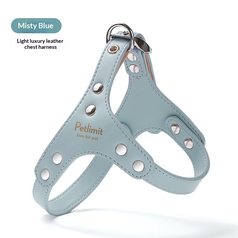 Puppy Leash And Leather Chest Harness For Small Dogs