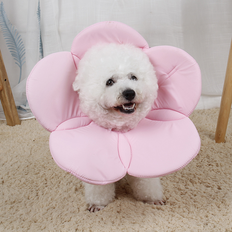 Beauty flower anti-scratch pet protective cover - Image 2