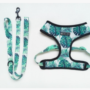 Pet Breathable Mesh Traction Rope Chest Strap