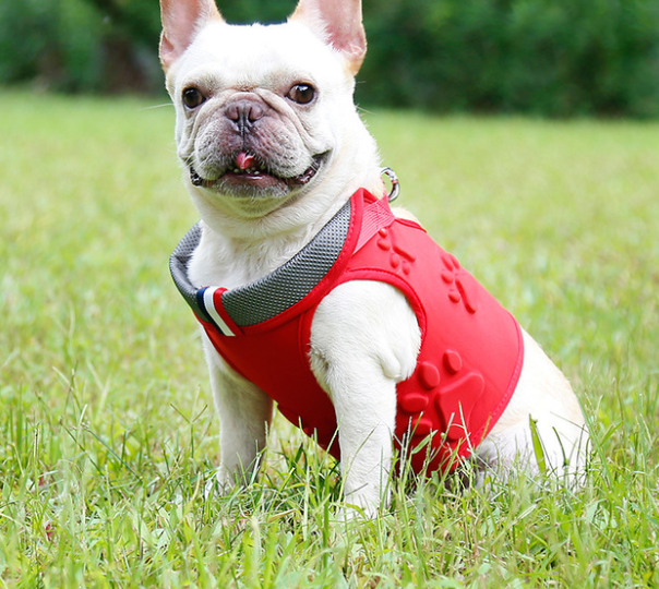Dog vest type hauling rope - Image 2