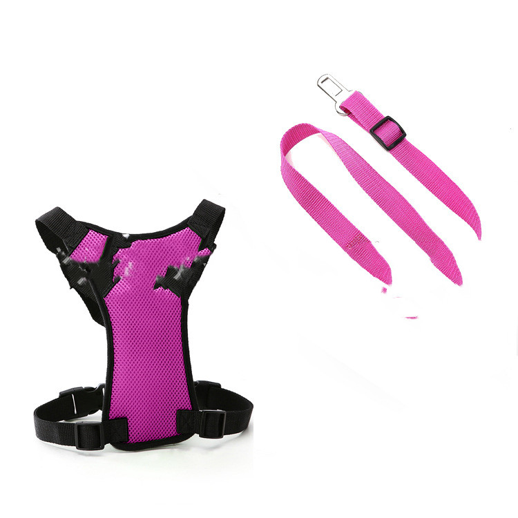Mesh Chest Back With PP Seat Belts Can Be Customized - Image 4