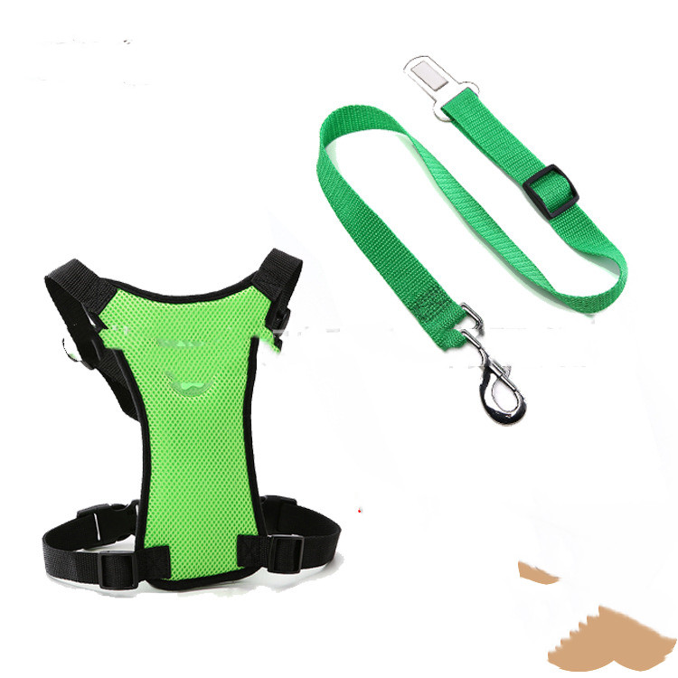 Mesh Chest Back With PP Seat Belts Can Be Customized - Image 3
