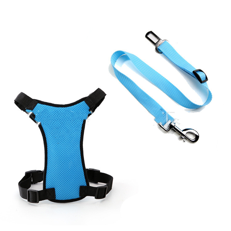 Mesh Chest Back With PP Seat Belts Can Be Customized - Image 2