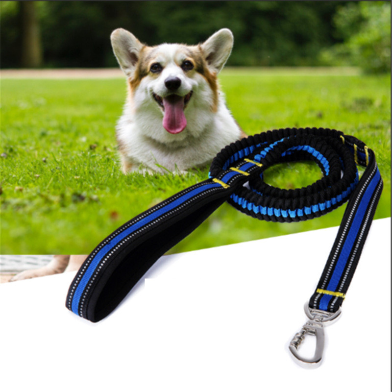 Cross Border Hot Sale Pet Dog High Elastic Traction Rope Strong Fastener Big Dog Special Traction Rope Spot Wholesale