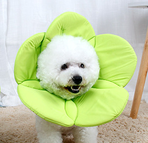 Beauty flower anti-scratch pet protective cover - Image 4