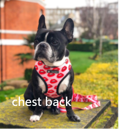 Pet Breathable Mesh Traction Rope Chest Strap - Image 4