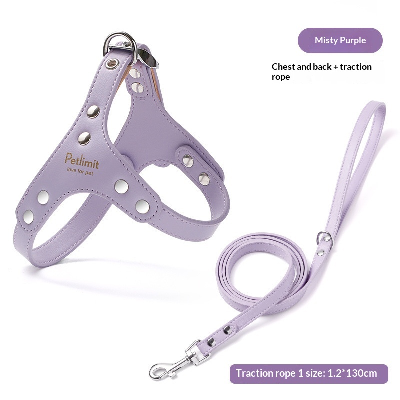 Puppy Leash And Leather Chest Harness For Small Dogs - Image 5