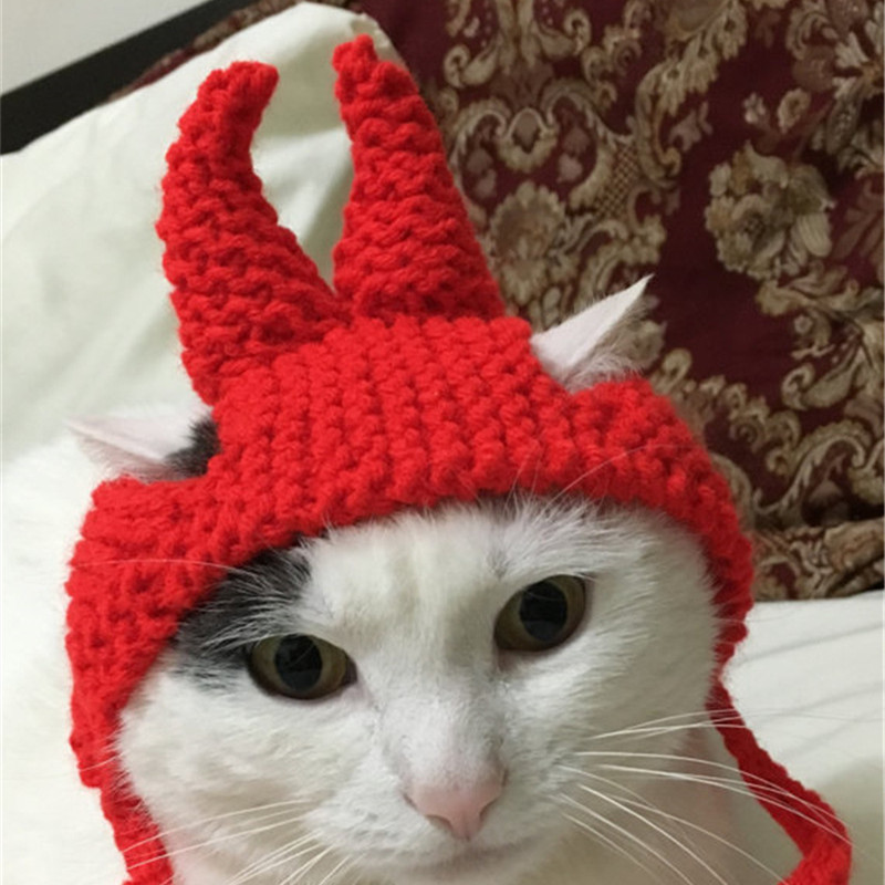 New Pet Hat Cute Style Braid Headgear Spring And Autumn - Image 4
