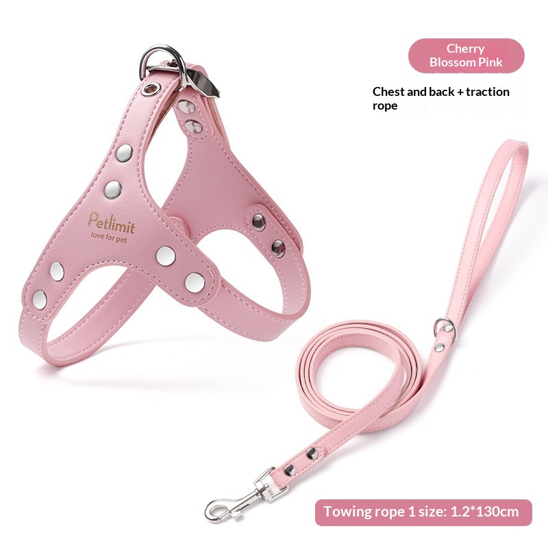 Puppy Leash And Leather Chest Harness For Small Dogs - Image 6