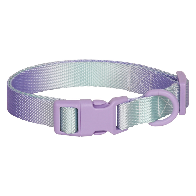 Large Anti-rust Gradient In Dog Collar - Image 4