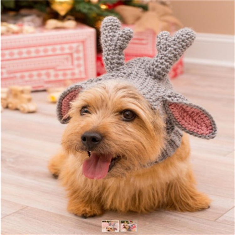 New Pet Hat Cute Style Braid Headgear Spring And Autumn - Image 3