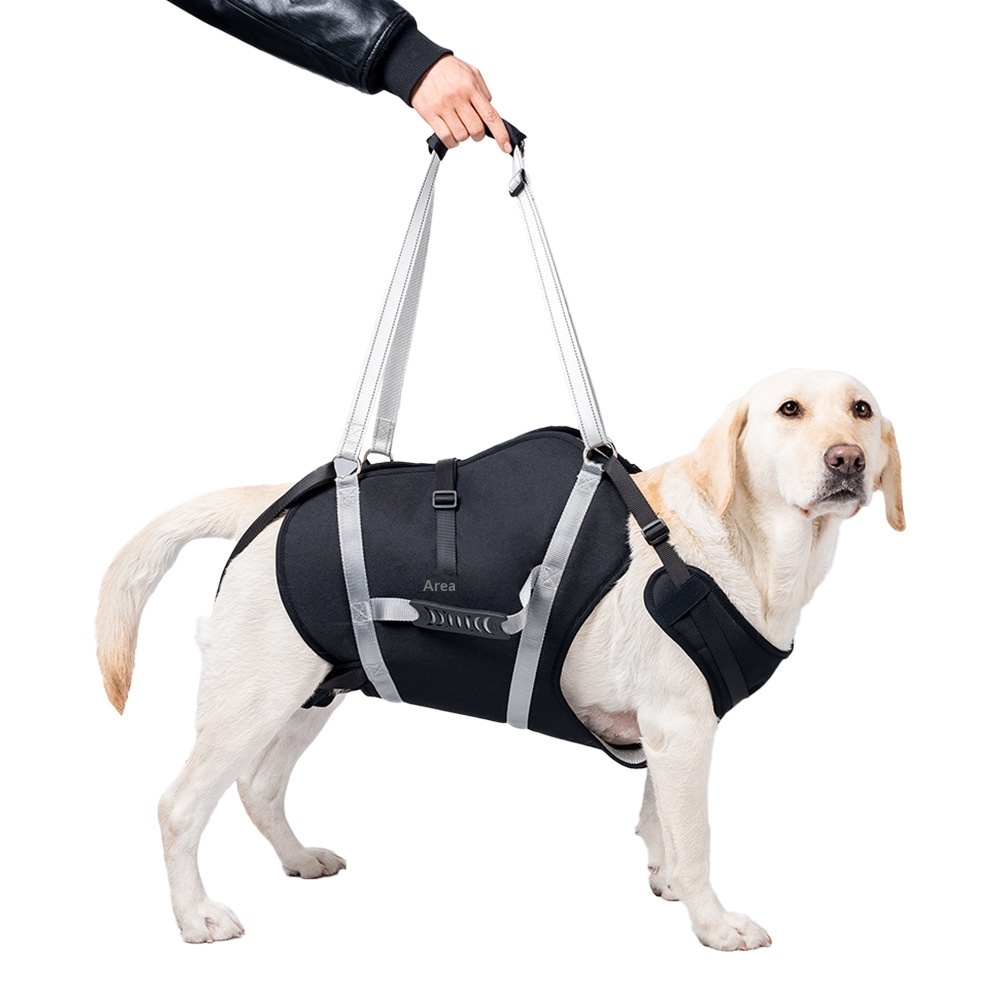 Medium To Large Dog Waterproof Harness With Adjustable Straps