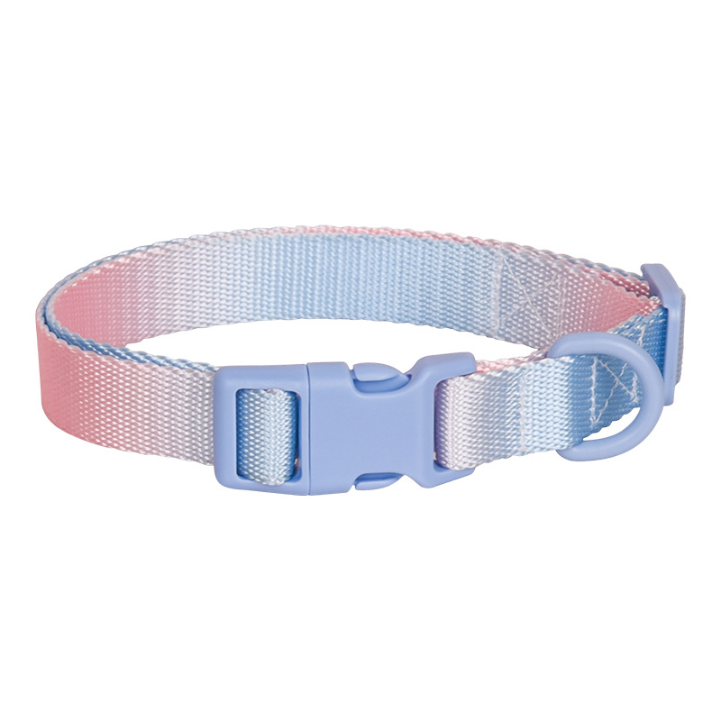 Large Anti-rust Gradient In Dog Collar - Image 2