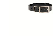 Pet Cat Dog Night Reflective Collar