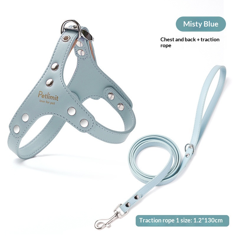 Puppy Leash And Leather Chest Harness For Small Dogs - Image 4
