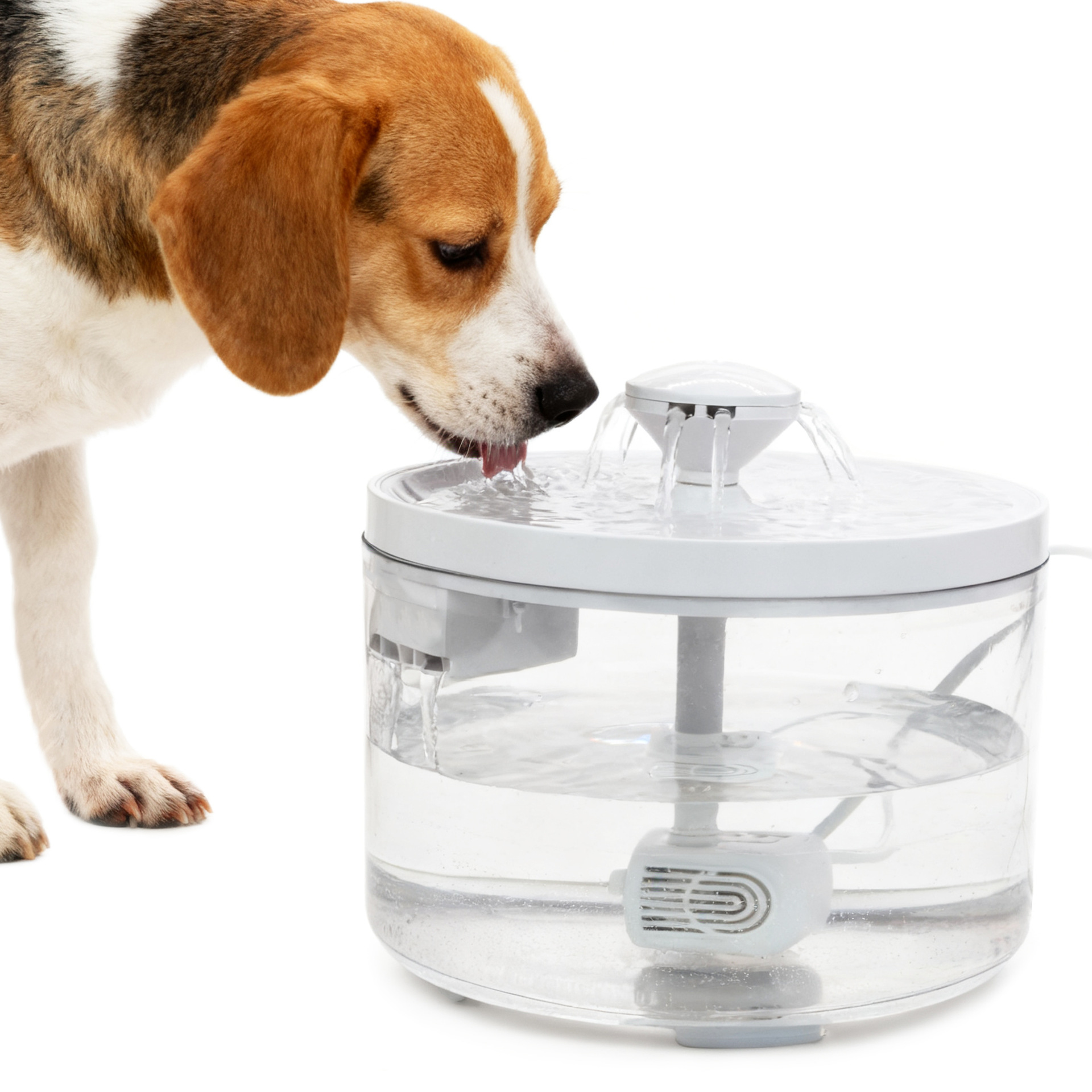 Automatic Pet Water Fountain, Circulating Drinking Dispenser For Cats & Dogs