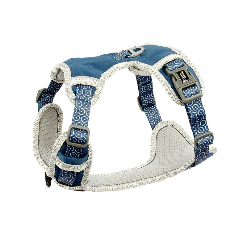 The Dog's Chest Strap Goes Out And Walks Leash - Image 5
