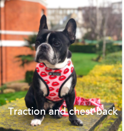 Pet Breathable Mesh Traction Rope Chest Strap - Image 3