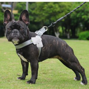 New Dog Breast Strap Breathable Mesh Pet Hand Holding Rope