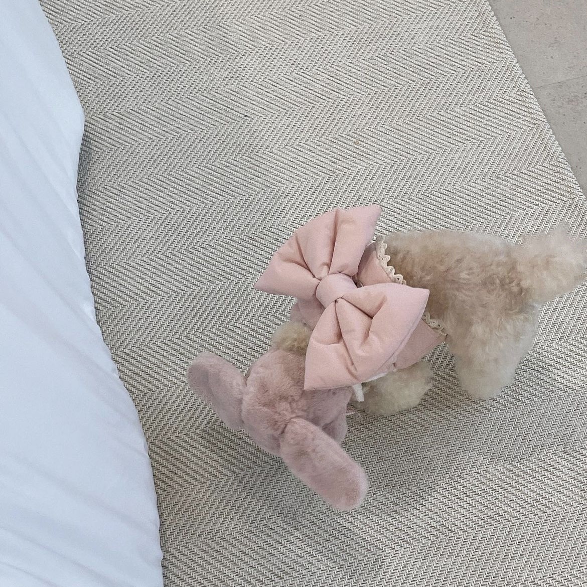 Cute Bow Autumn And Winter Plush Dog Breast Strap