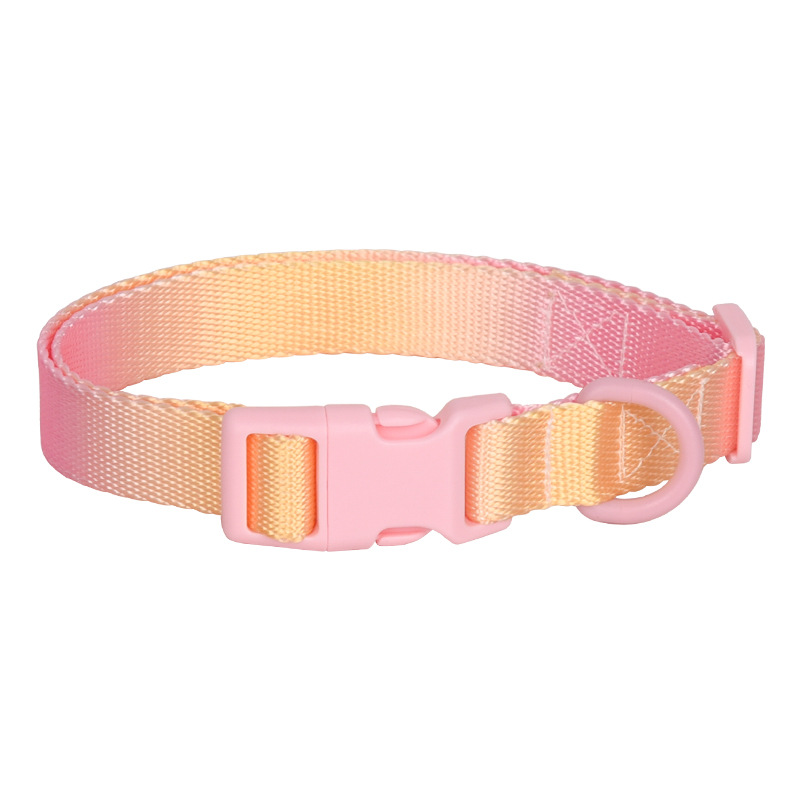Large Anti-rust Gradient In Dog Collar - Image 3