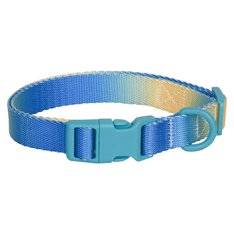 Large Anti-rust Gradient In Dog Collar - Image 5