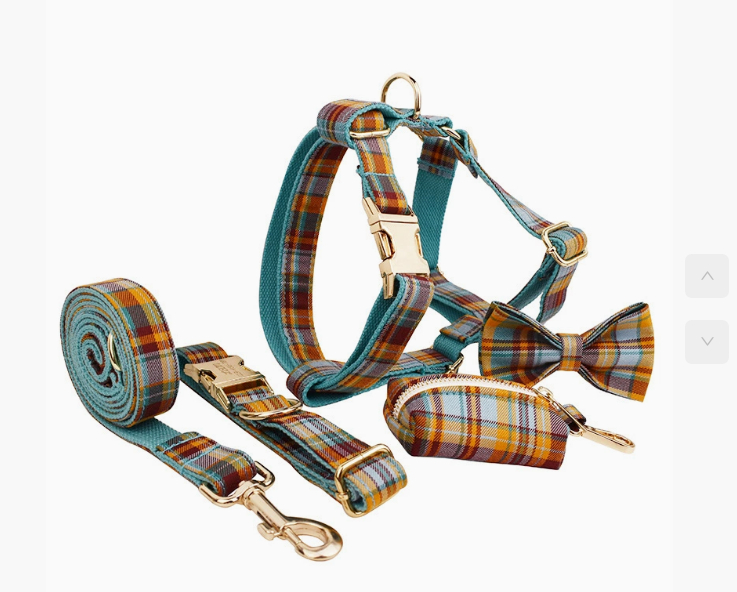 Green Plaid Plain Pet Collar - Image 5