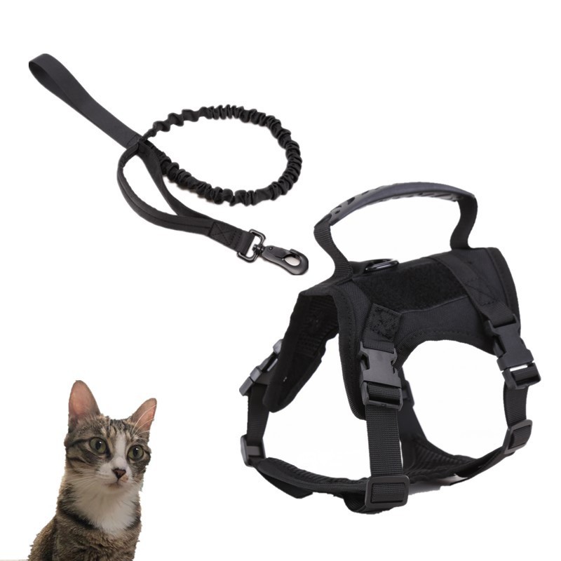 Cat Chest Strap Vest Hand Holding Rope - Image 4