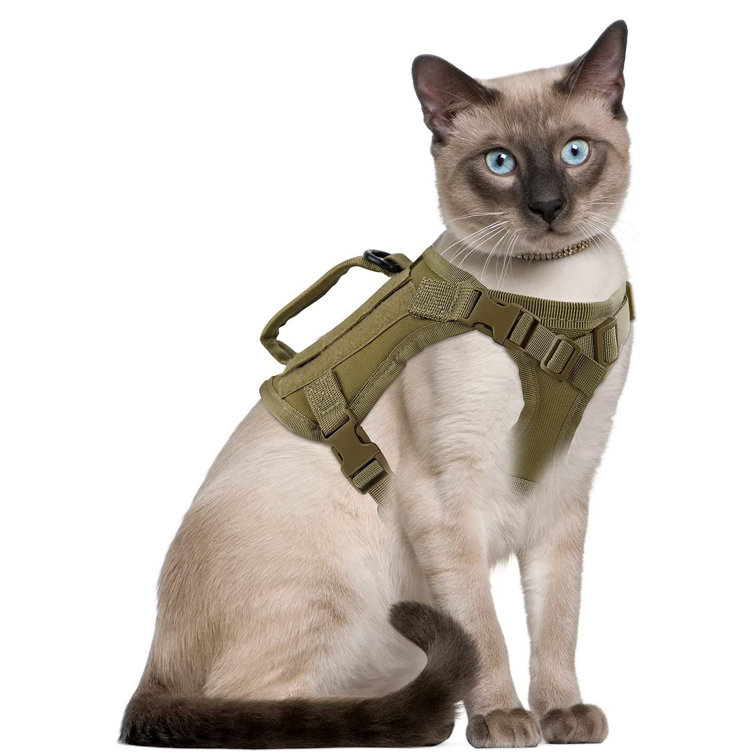 Cat Chest Strap Vest Hand Holding Rope - Image 3