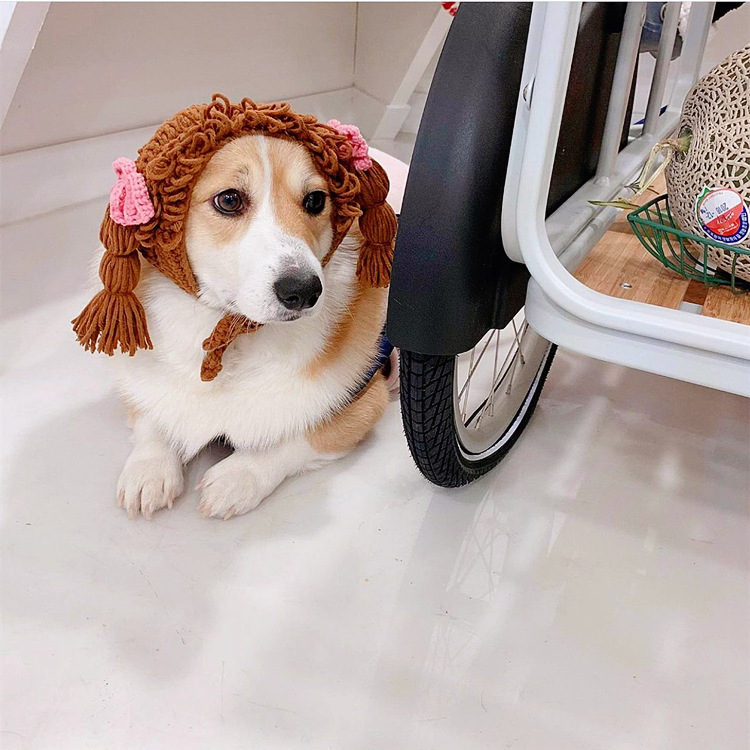 New Pet Hat Cute Style Braid Headgear Spring And Autumn - Image 2