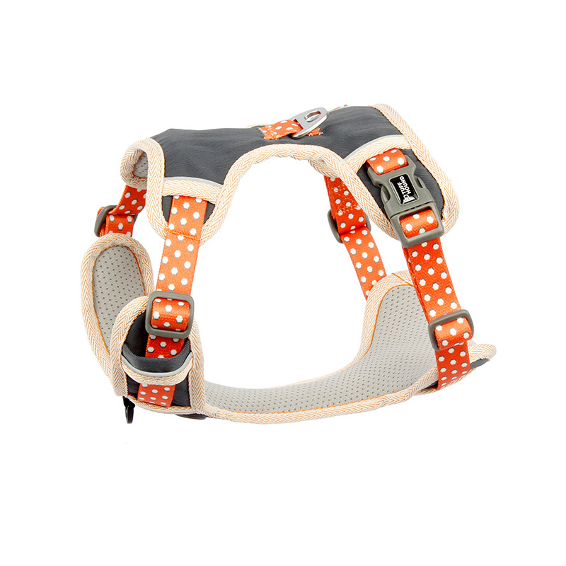 The Dog's Chest Strap Goes Out And Walks Leash - Image 3