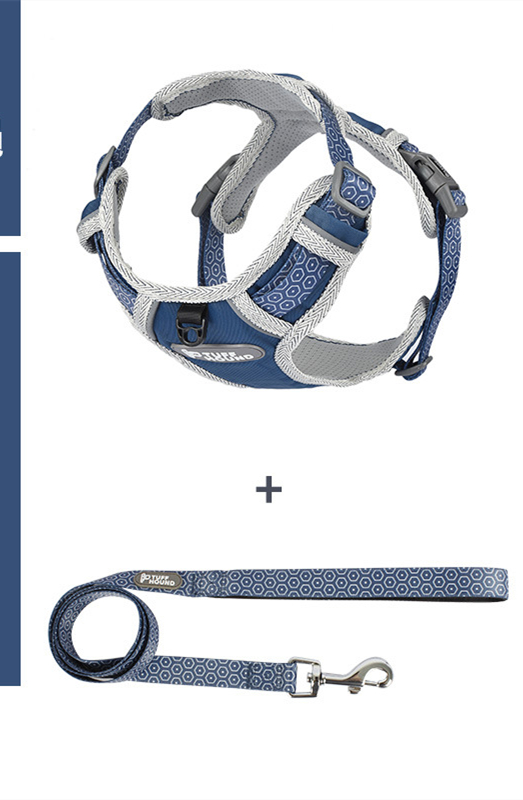 The Dog's Chest Strap Goes Out And Walks Leash - Image 6