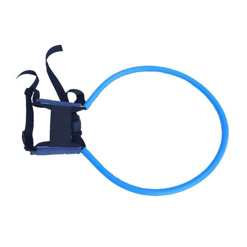 Head-Protection Ring For Blind Pets To Prevent Head And Eye Injuries