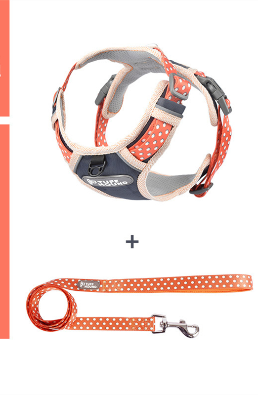 The Dog's Chest Strap Goes Out And Walks Leash - Image 4