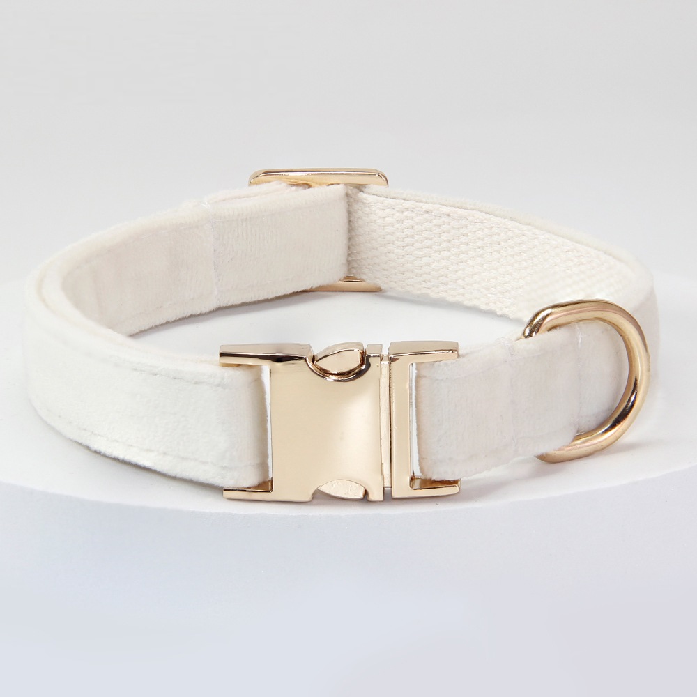 Dog Collar With Engraved Lettering, Anti Loss Collar, Large Dog Leash