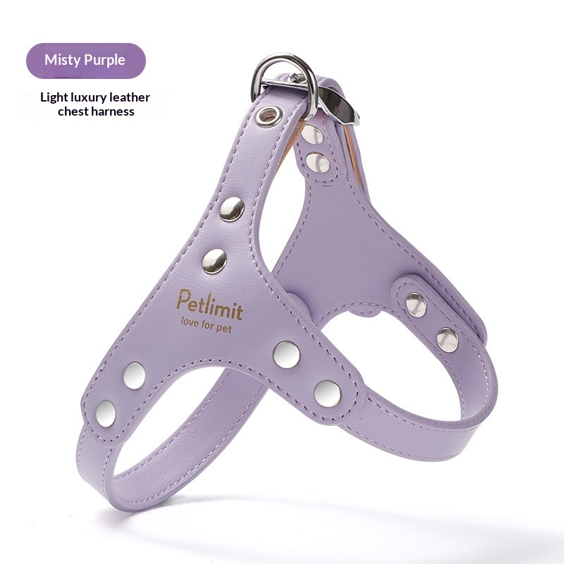 Puppy Leash And Leather Chest Harness For Small Dogs - Image 2